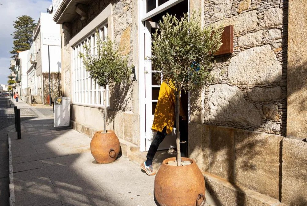 Hotel Meira | entree